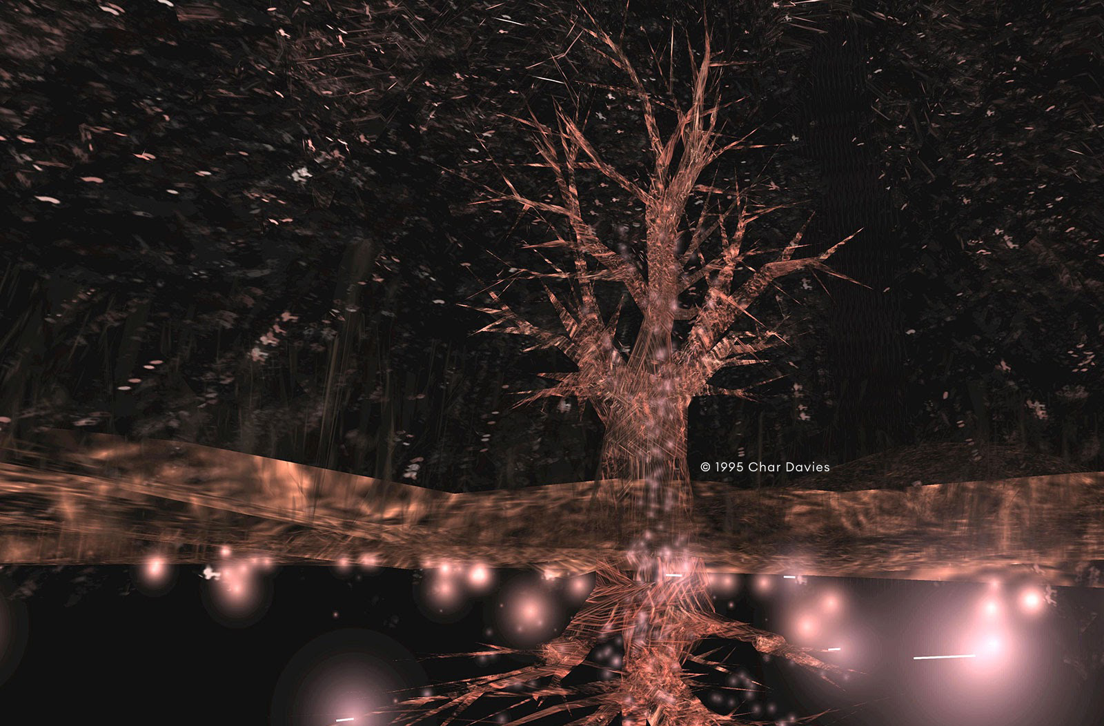 Immersed in Restoration: With Guest Speakers Glen Fraser, John Harrison and Jacki Morie